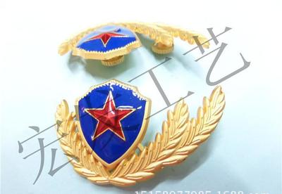專業金屬工藝品制作 徽章、獎章、國旗胸章、領徽帽徽定制服務